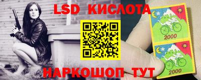 прущие грибы Тверь