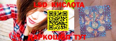 прущие грибы Тверь