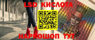 прущие грибы Тверь