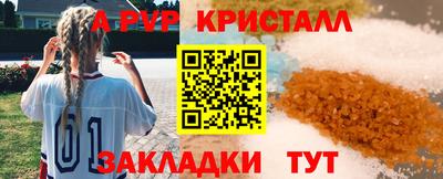 прущие грибы Тверь