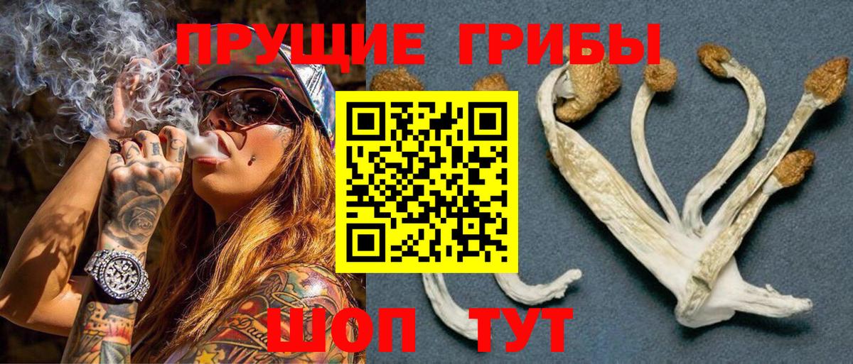 Псилоцибиновые грибы прущие грибы  где купить наркотик  Азнакаево  Вход с VPN  Псилоцибиновые грибы ЛСД 