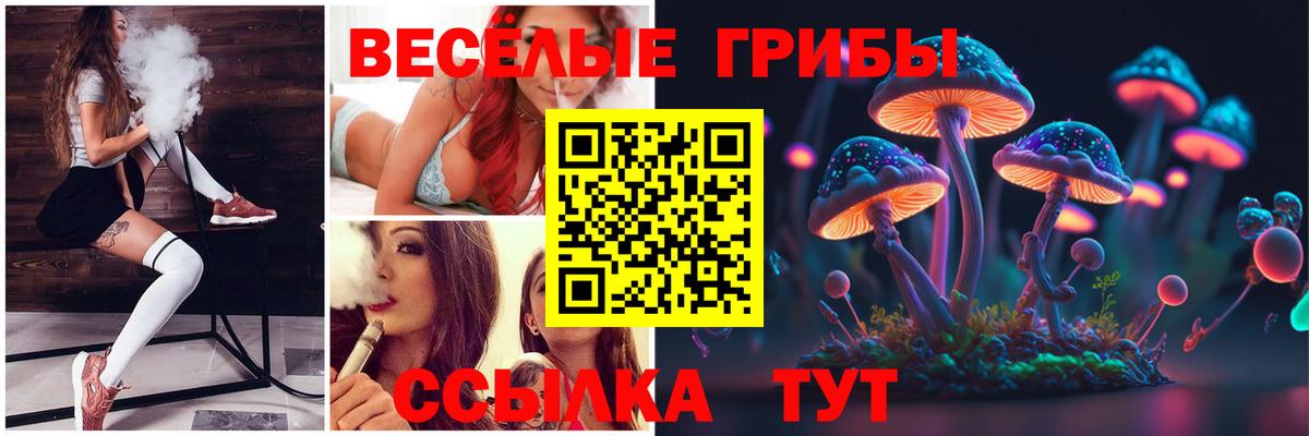 Галлюциногенные грибы ЛСД Азнакаево